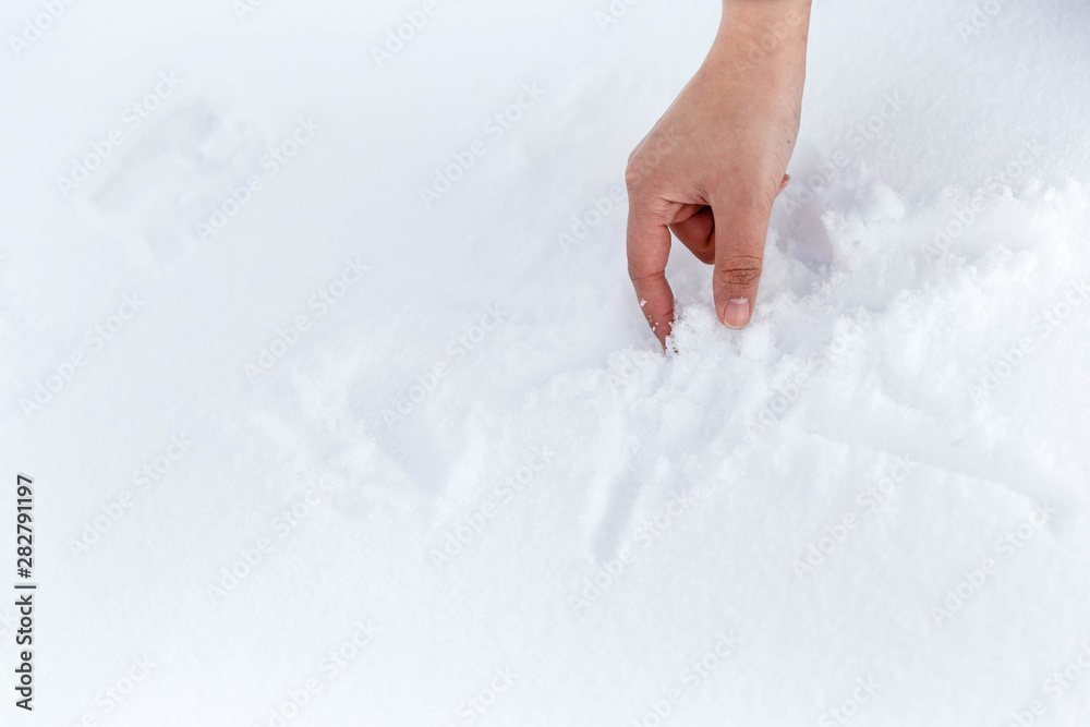 Beautiful female hand on snow closeup Beautiful female hand on snow closeup