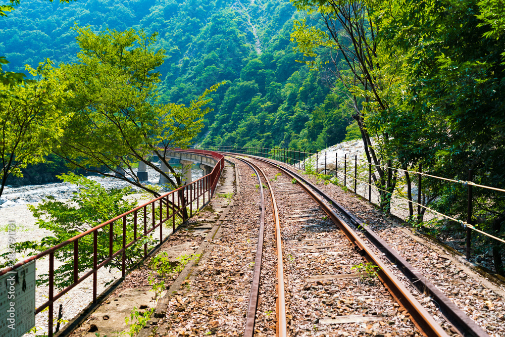 Fototapeta premium レールマウンテンバイク ガッタンゴー(渓谷コース)