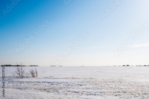 Background image of the snowy landscapes of Siberia. photo