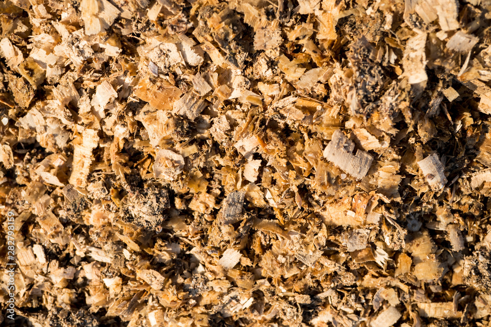 Sawdust texture Sawdust texture