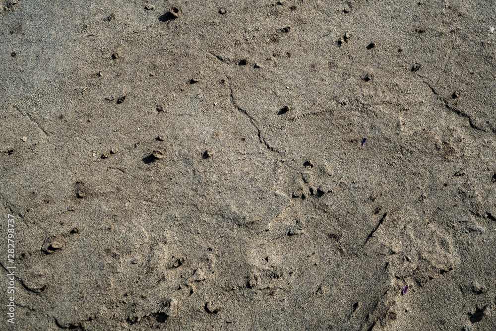 Sand texture Sand texture