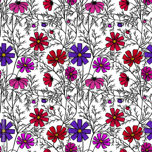 vector illustration eps10 . cosmea flowers  daisy  coloring. Seamless pattern.