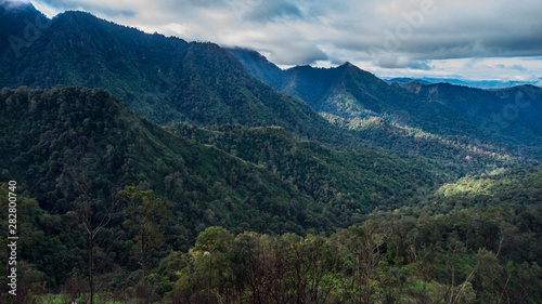 Mountain forest in the morning, Phu Soi Dao, Uttaradit Province, Thailand.