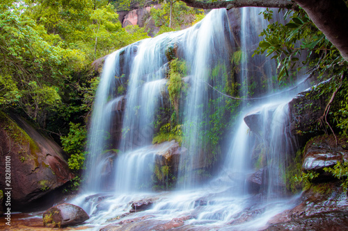 waterfall in forest