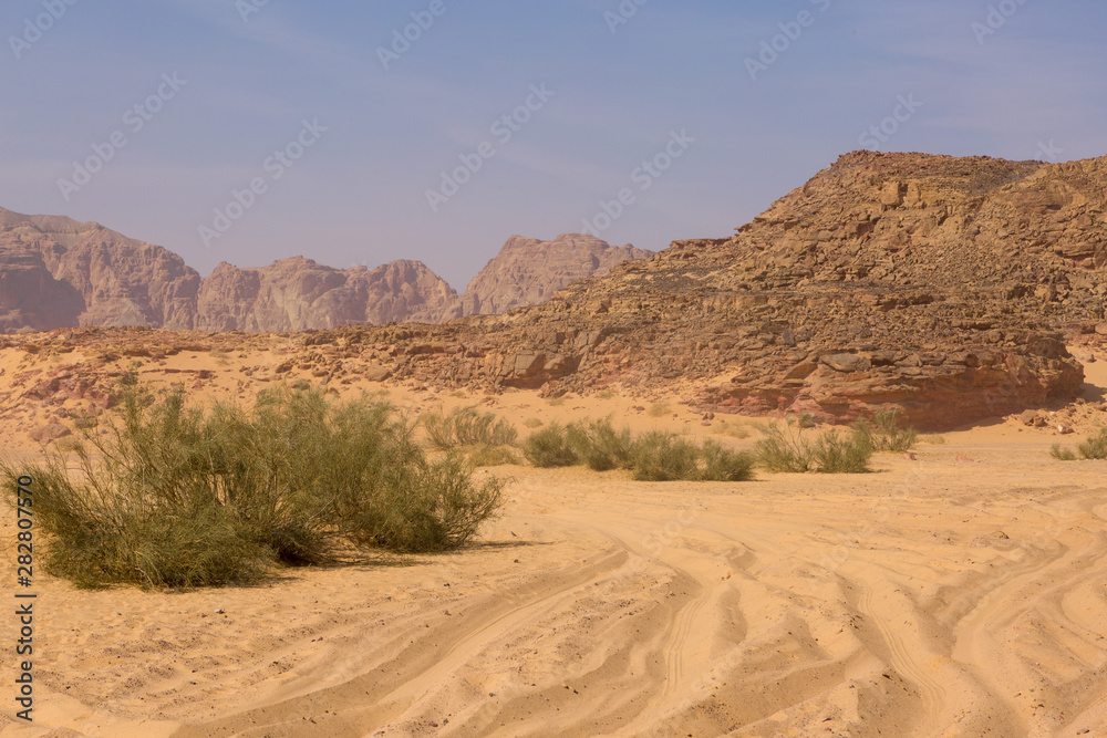 Naklejka premium Coloured Canyon is a rock formation on South Sinai (Egypt) peninsula. Desert rocks of multicolored sandstone background. 