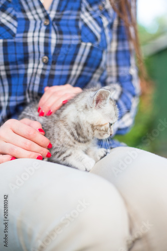 Close up of a cute kitty-cat in the woman's hands