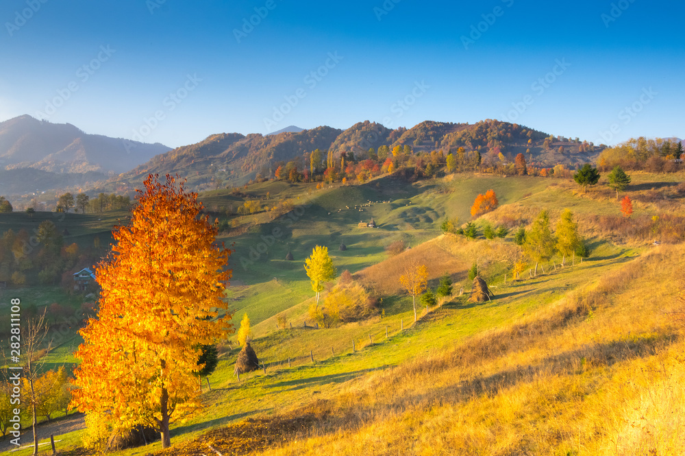Autumn Colors - Landscape  - Outdoor - Rural Scene.