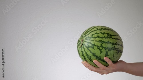 Female hand holding out green striped watermelon from the side. Copy space