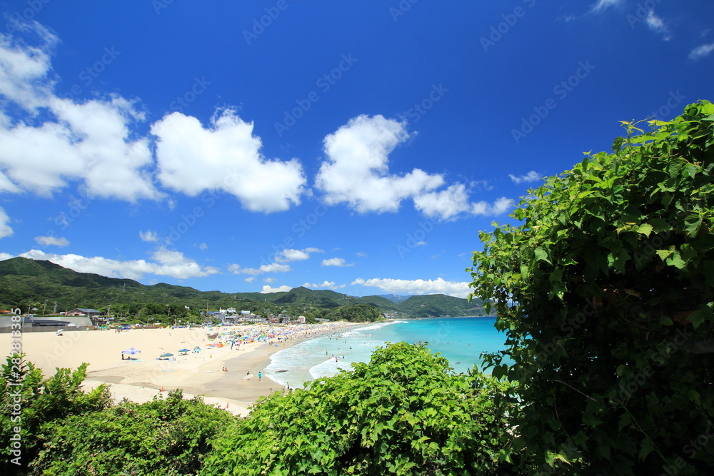 Obraz premium 伊豆下田 夏の白浜大浜