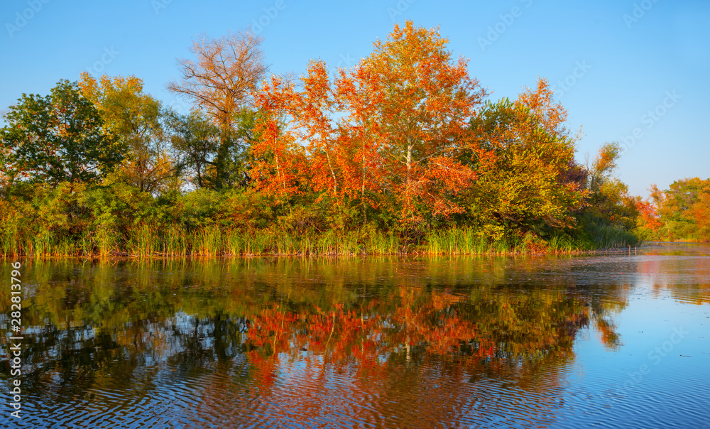 quiet autumn scene, small lake with red forest on a coast quiet autumn scene, small lake with red forest on a coast