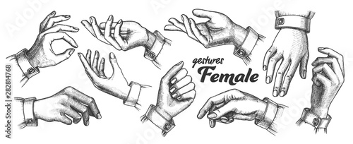 Collection of Different Gesture Set Vintage Vector. Female Woman Hand Gesture Looks Like Holding Cup Coffee Or Bag, Cigarette Or Violin, Balloon Or Umbrella. Monochrome Illustration