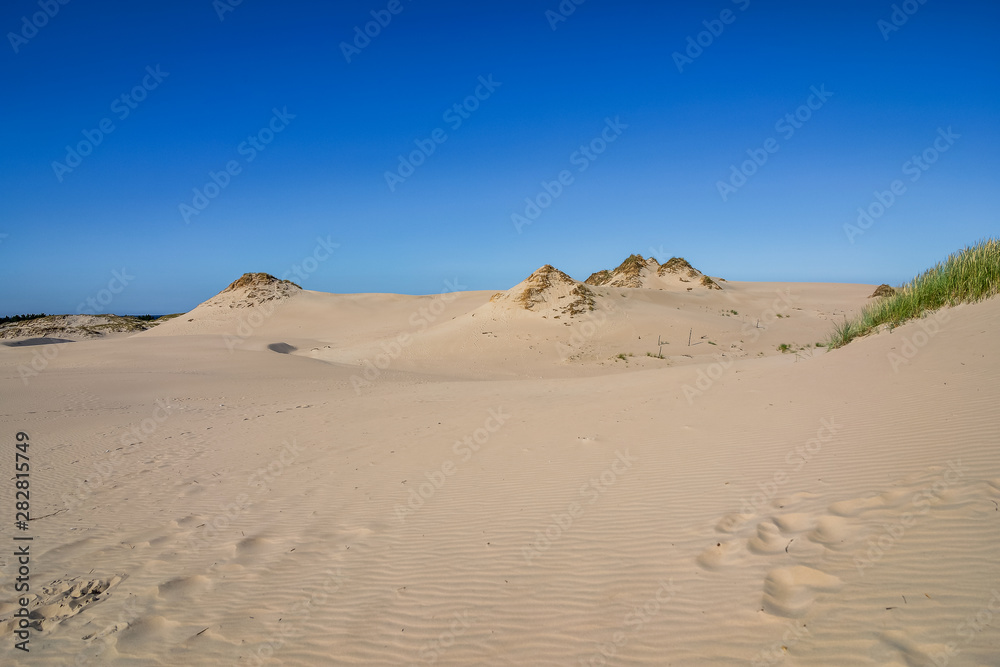 Moving Dunes in Northern Poland. A Desert by the Sea. Incredible Place on Earth. Pictures Taken in Very Hot Day with No Clouds. Moving Dunes in Northern Poland. A Desert by the Sea. Incredible Place on Earth. Pictures Taken in Very Hot Day with No Clouds.