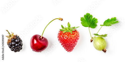 Berries summer fruits set