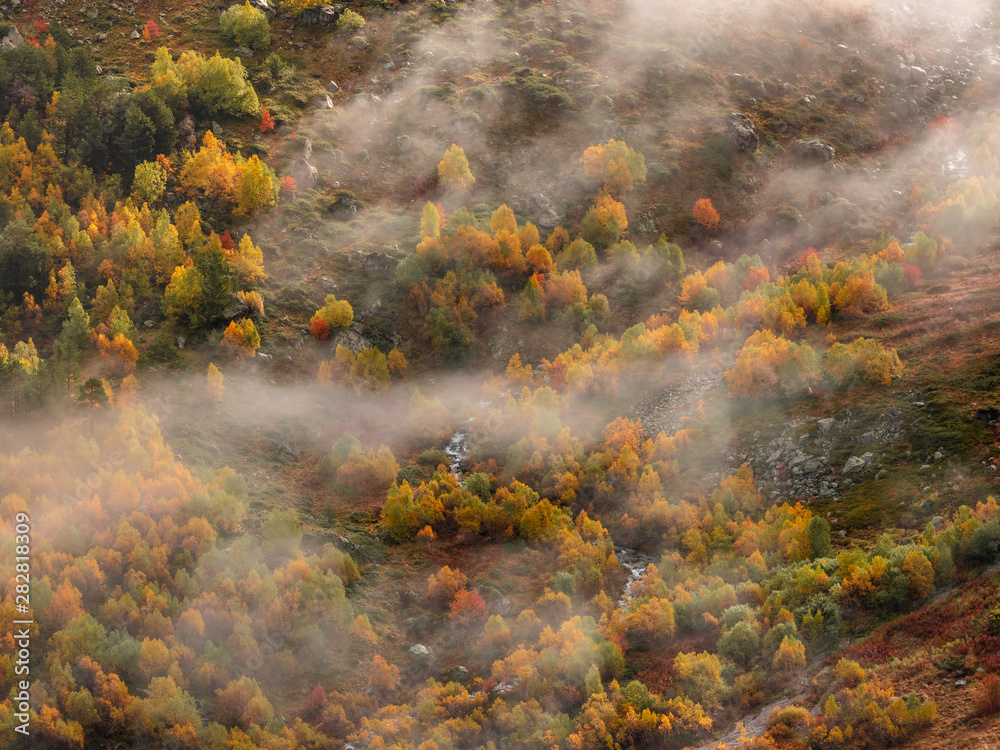  foggy autumn forest in the mountains