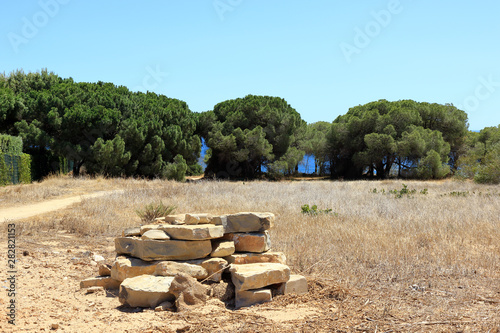 A stack of rocks in a dry field