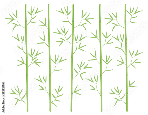 Bamboo forest background. Bamboos or bambusa plant backdrop. Bambos green leaves and stalk. Decorative flat vector color Illustration.