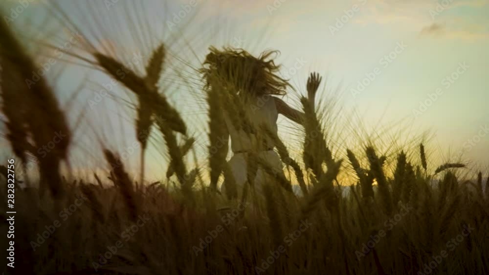 view of happy woman through ripe wheat ears on wheat field running at sunset view of happy woman through ripe wheat ears on wheat field running at sunset