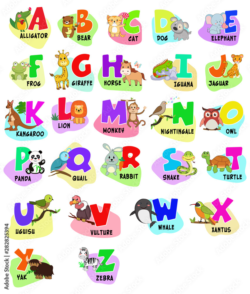 Animal alphabet graphic A to Z. Cute Zoo alphabet with cartoon animals isolated on white background, education cards. Cat, dog, turtle, elephant, zebra, bear, rabbit Animal alphabet graphic A to Z. Cute Zoo alphabet with cartoon animals isolated on white background, education cards. Cat, dog, turtle, elephant, zebra, bear, rabbit
