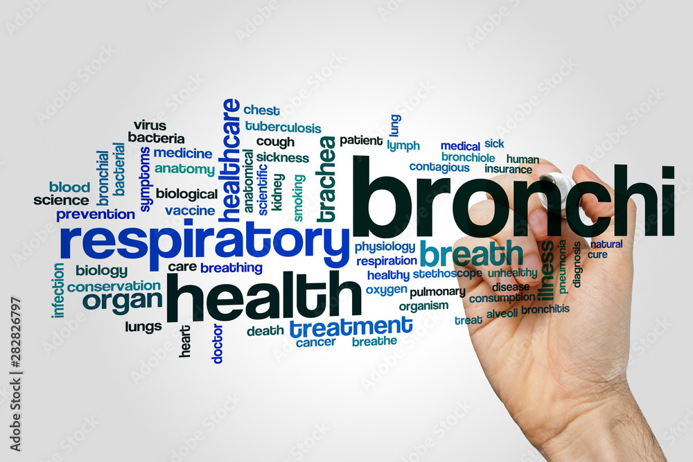 Bronchi word cloud concept on grey background Bronchi word cloud concept on grey background