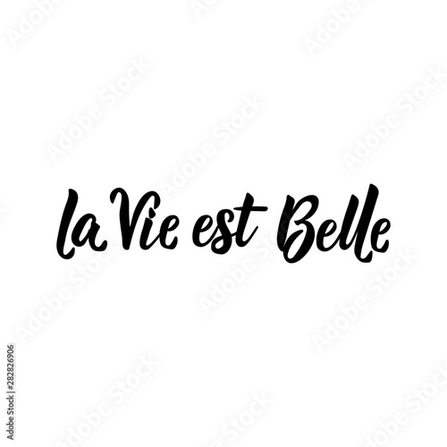 Translation from French: Life is beautiful. Vector illustration. Lettering. Ink illustration. La Vie est Belle.