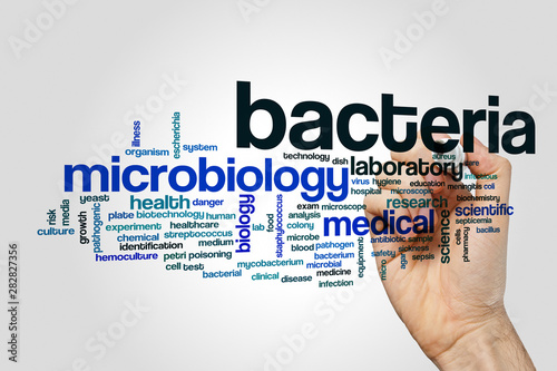 Bacteria word cloud on grey background