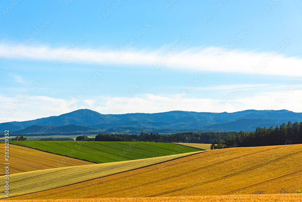 Panoramic rural landscape with mountains. Vast blue sky and white clouds over farmland field in a beautiful sunny day in springtime.