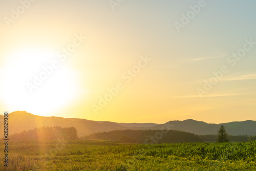 Scenic countryside sunset landscape with a plain wild grass field horizon view and a forest on background.  © Shawn.ccf