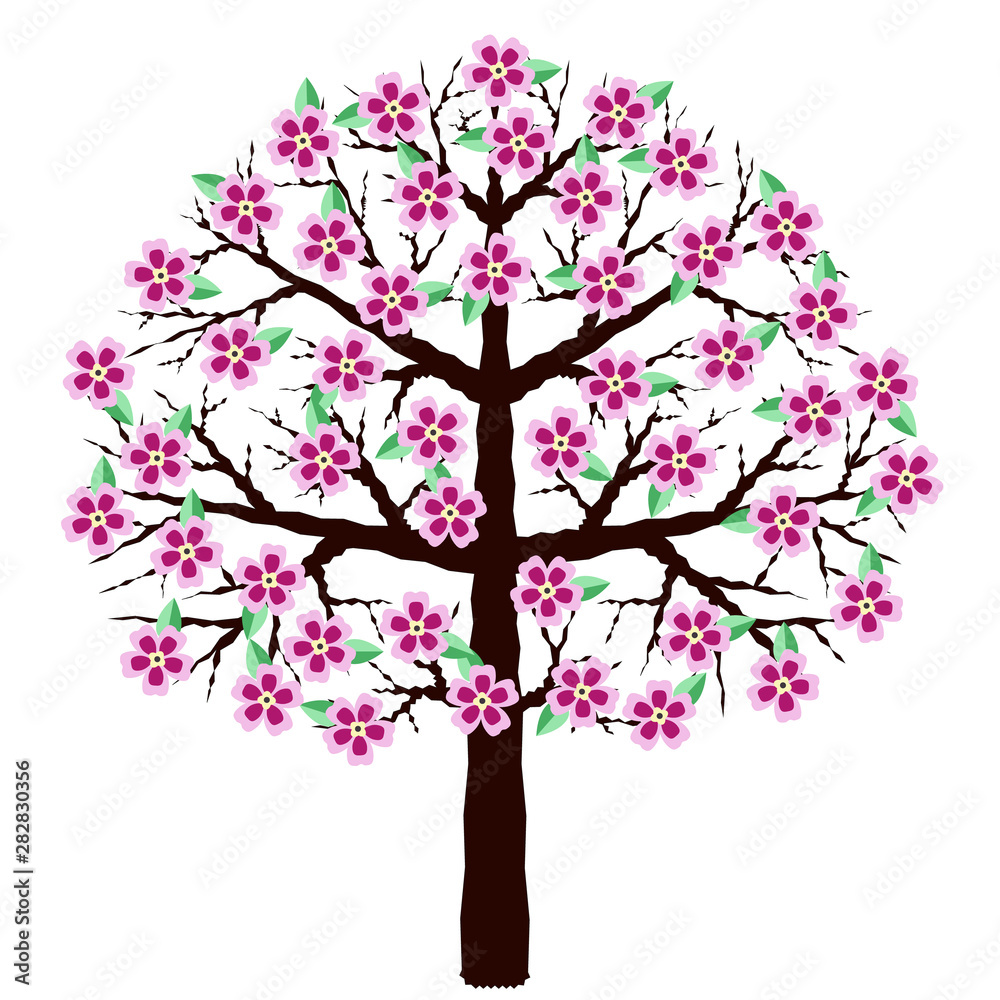 Blooming sakura isolated on a white background. A tree with flowers. Cherry blossoms.
