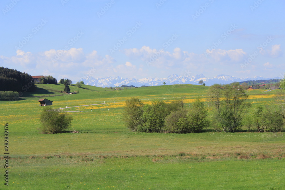 Landscape with green hilly fields and small areas with yellow flowers on the background of snow-capped mountain peaks on the horizon and small wooden buildings in the middle