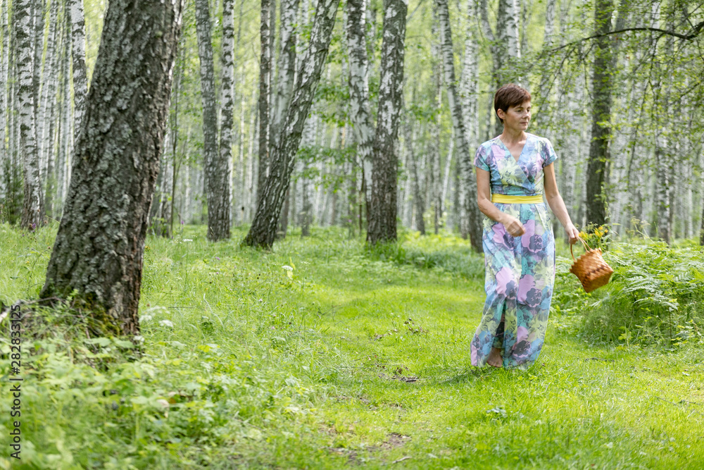 A young woman in a dress collects mushrooms, berries in a basket. Harvesting in a birch forest with ferns A young woman in a dress collects mushrooms, berries in a basket. Harvesting in a birch forest with ferns