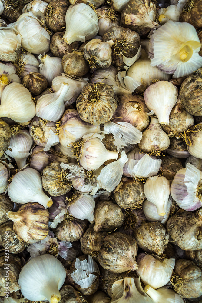 Garlic Garlic