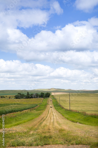a long dirt road in rural North Dakota with a bright blue sky with clouds in the horizon