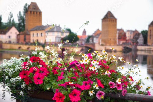Strasbourg flowers and bridges on the background, France