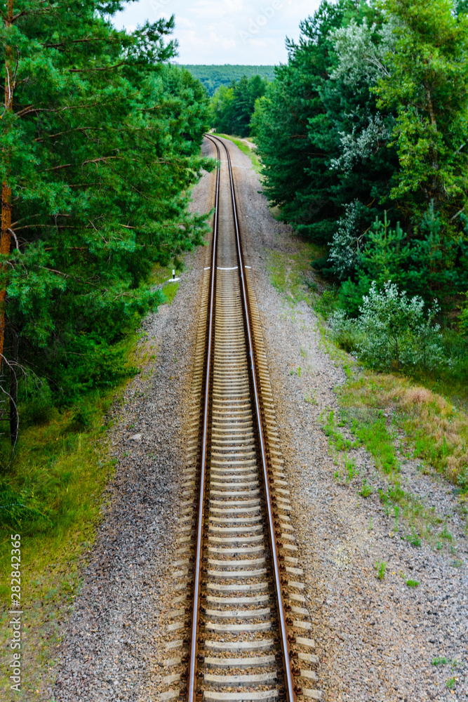 Old railroad in forest on summer