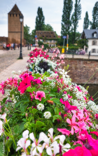 Strasbourg city of flowers in summer  France