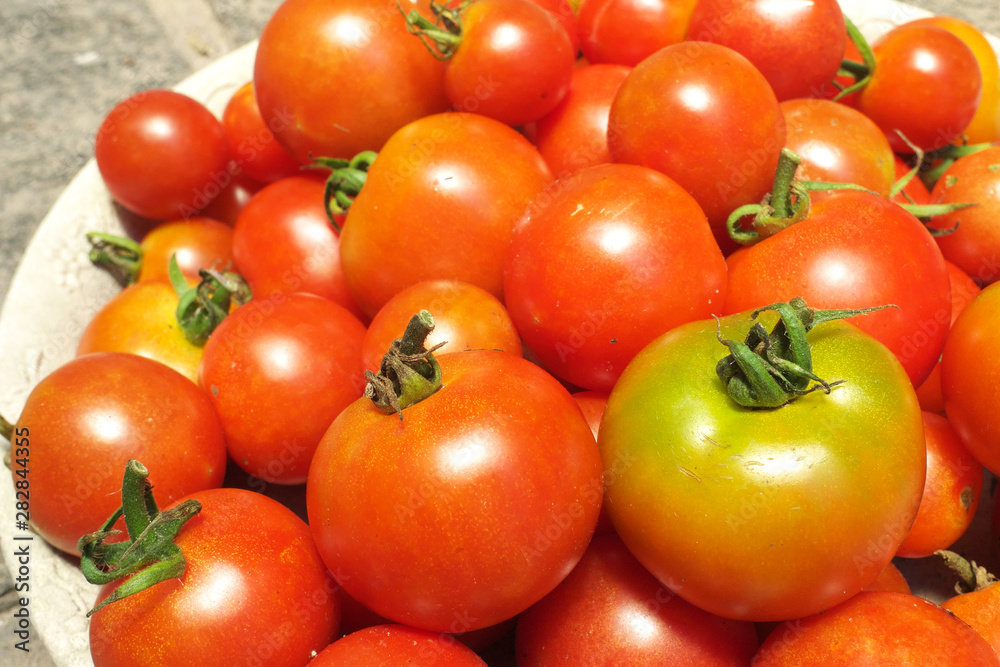 ミニトマト - Fresh cherry tomatoes