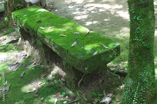                                   - Japanese old moss-covered bench in the wood
