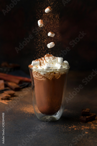 Bild auf Leinwand hot chocolate with cream and marshmallow in a clear glass