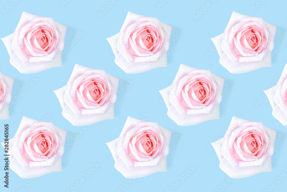 Floral pattern with a pink rose on a blue background. Floral pattern with a pink rose on a blue background.