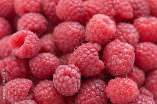 Common raspberries. Fresh ripe red fruits. Close-up