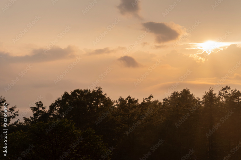 夕日が空と森をオレンジに染める風景／View from Hinatakiba Observatory in Nagano, Japan