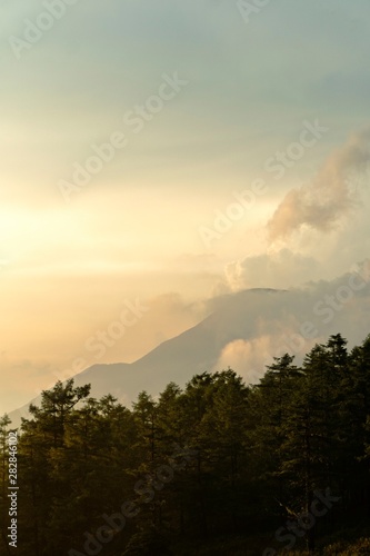 夕方の森と山の縦長写真／View from Hinatakiba Observatory in Nagano, Japan