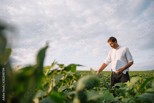 Portrait of young farmer standing in soybean field.