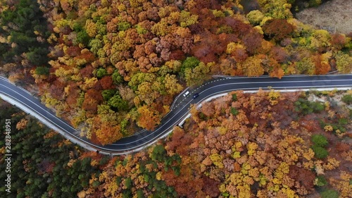 Curve of road in autumn forest from drone photo