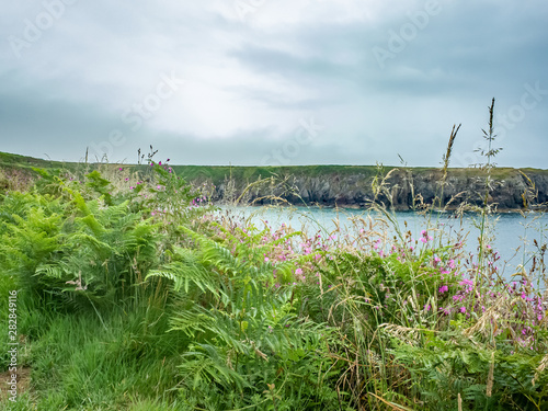 Caerfai Bay, Pembrokeshire, South Wales photo