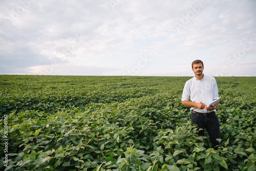 Agronomist inspecting soya bean crops growing in the farm field. Agriculture production concept. Agribusiness concept. agricultural engineer standing in a soy field