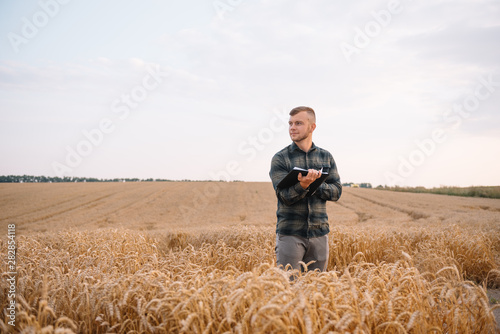 Young attractive farmer with laptop standing in wheat field with combine harvester in background © Serhii