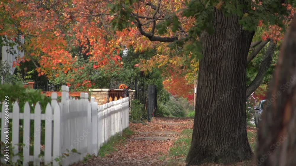 autumn sidewalk white picket fence fall color