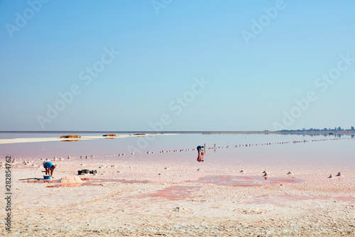 Workers work on a pink salt lake