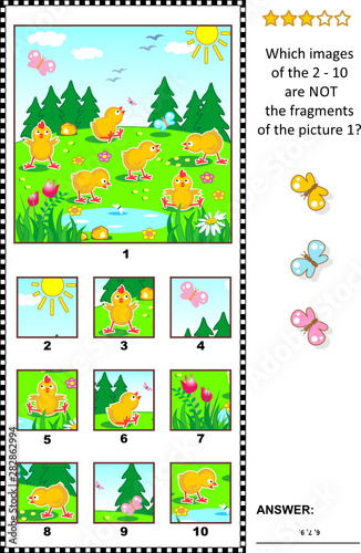 Spring  Easter or summer visual logic puzzle with happy playful chicks feeding outdoor  What of the 2 - 10 are not the fragments of the picture 1  Answer included.